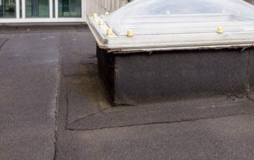 disadvantages of Port Tennant flat roofs